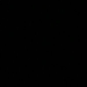 Meet your Posher, Ava